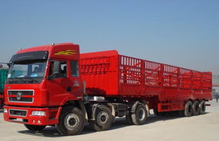 富陽到西藏那曲貨運專線 專業(yè)貨物代理，運價合理高效