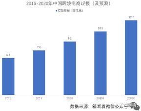 貨量減少背景下，這些新領域推動貨物代理服務迅猛擴張