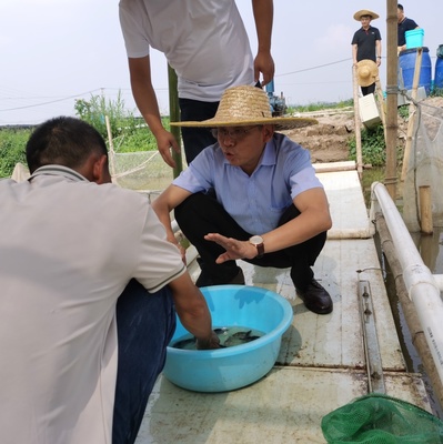 九江市農業科學院赴廣東考察學習飼料鱖魚養殖及工廠化循環水養殖技術